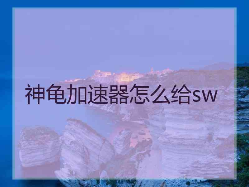 神龟加速器怎么给sw