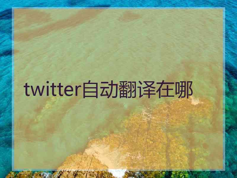 twitter自动翻译在哪