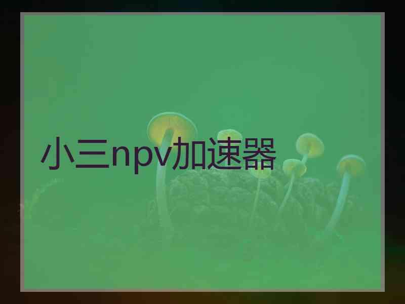 小三npv加速器