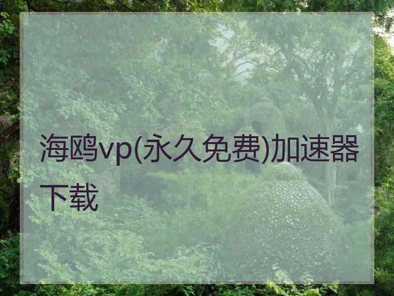 海鸥vp(永久免费)加速器下载