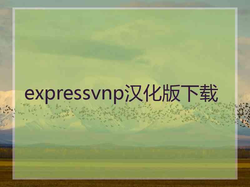 expressvnp汉化版下载