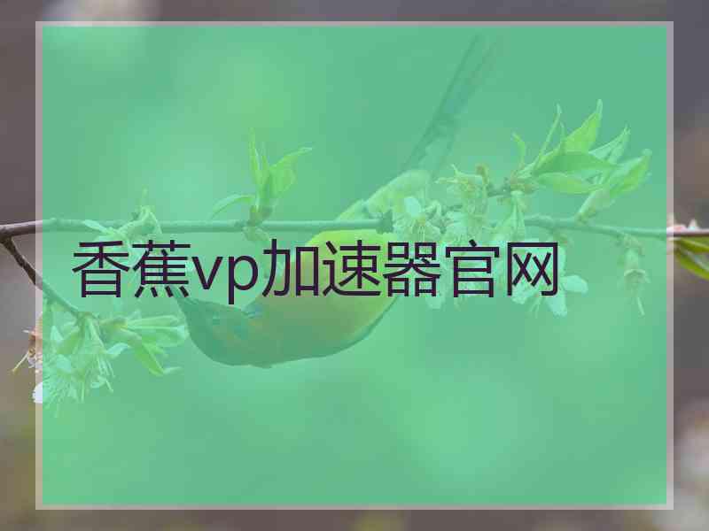 香蕉vp加速器官网