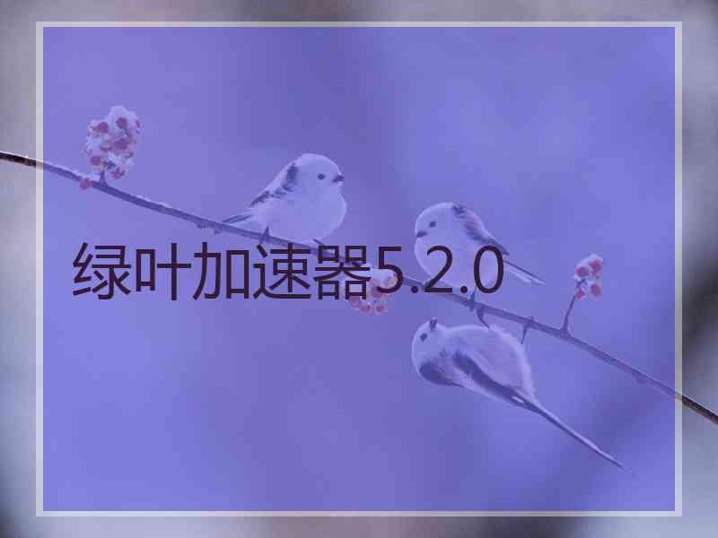 绿叶加速器5.2.0