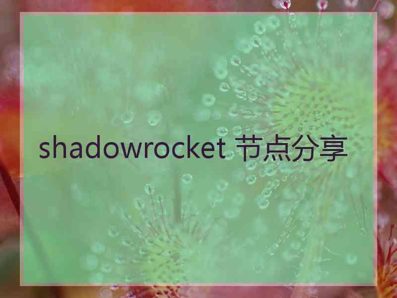 shadowrocket 节点分享