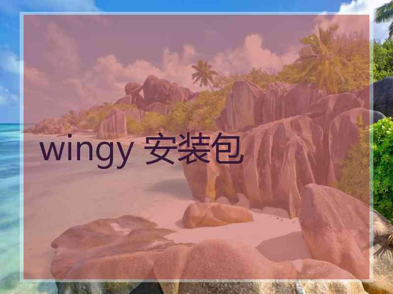 wingy 安装包