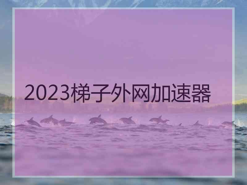 2023梯子外网加速器