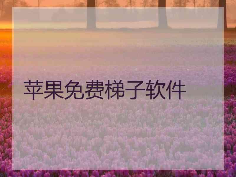 苹果免费梯子软件