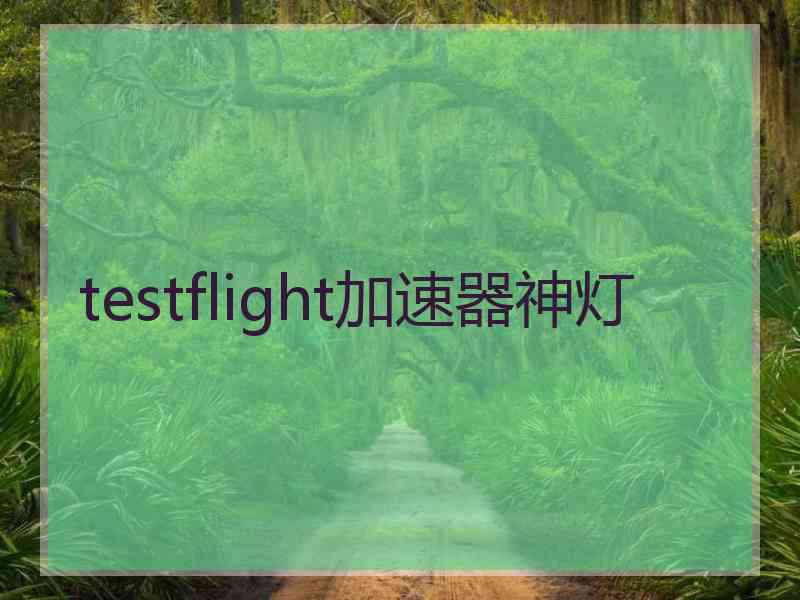 testflight加速器神灯