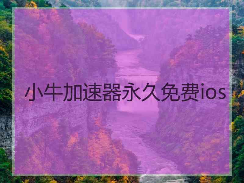 小牛加速器永久免费ios