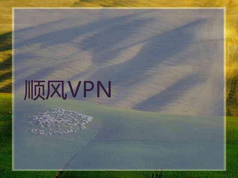 顺风VPN