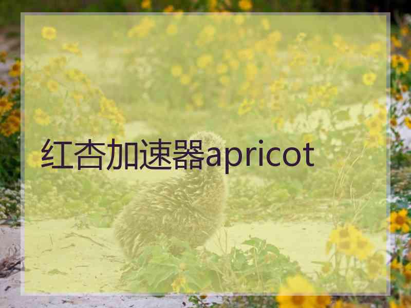 红杏加速器apricot