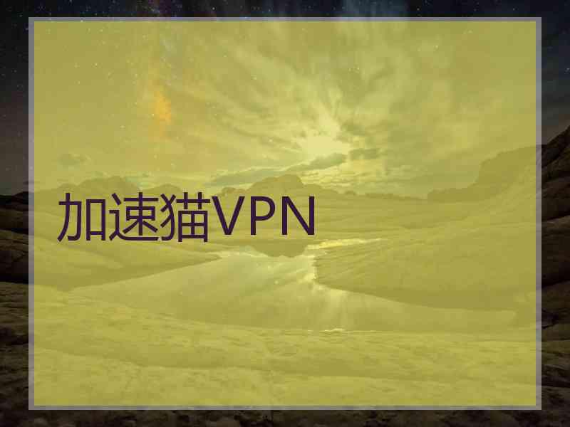 加速猫VPN