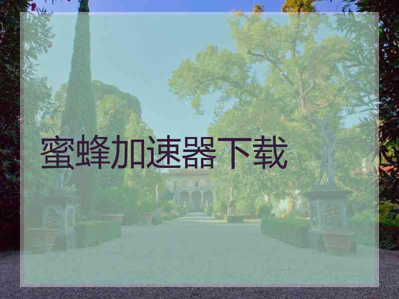 蜜蜂加速器下载