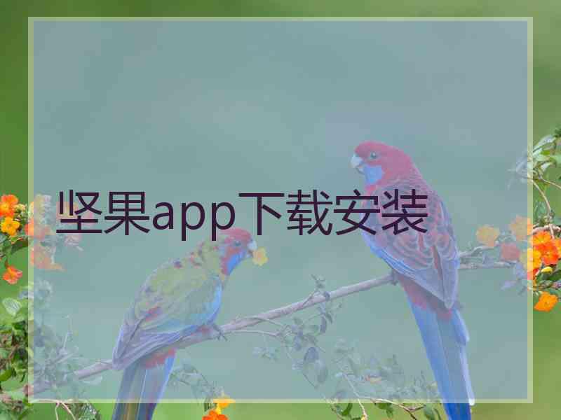 坚果app下载安装