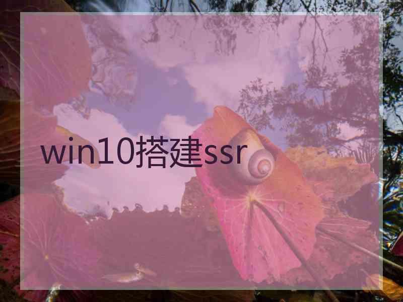 win10搭建ssr