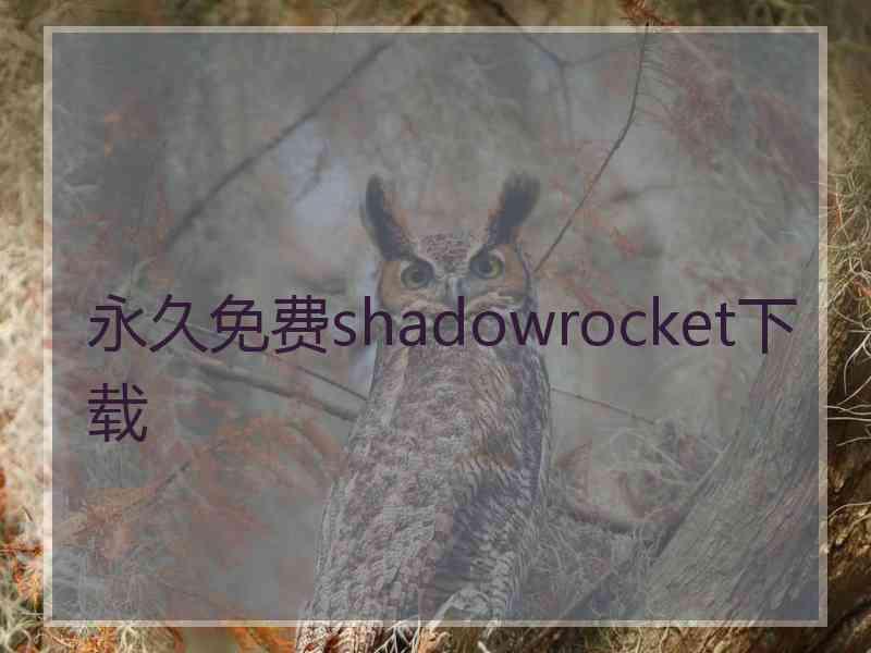 永久免费shadowrocket下载