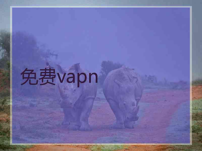 免费vapn