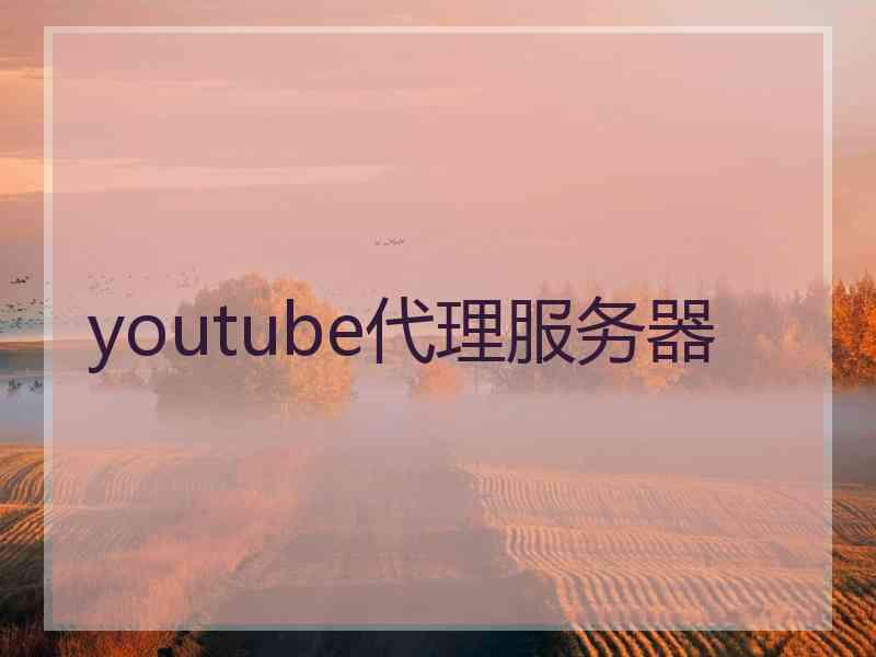 youtube代理服务器