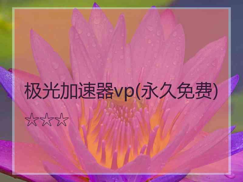 极光加速器vp(永久免费)☆☆☆