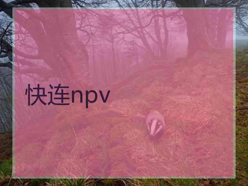 快连npv