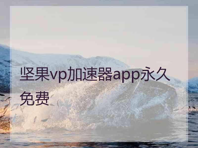 坚果vp加速器app永久免费