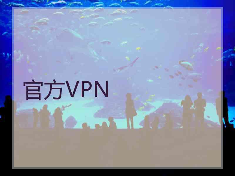 官方VPN