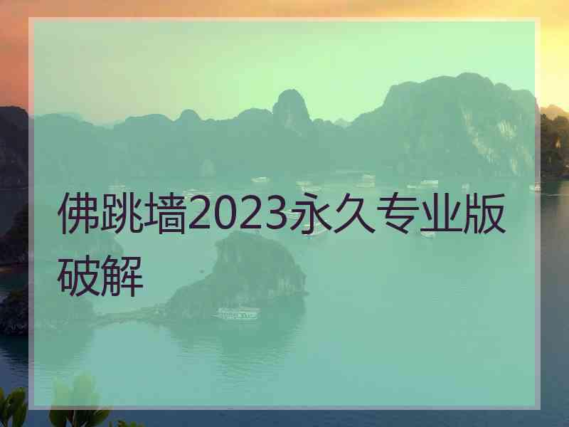 佛跳墙2023永久专业版破解