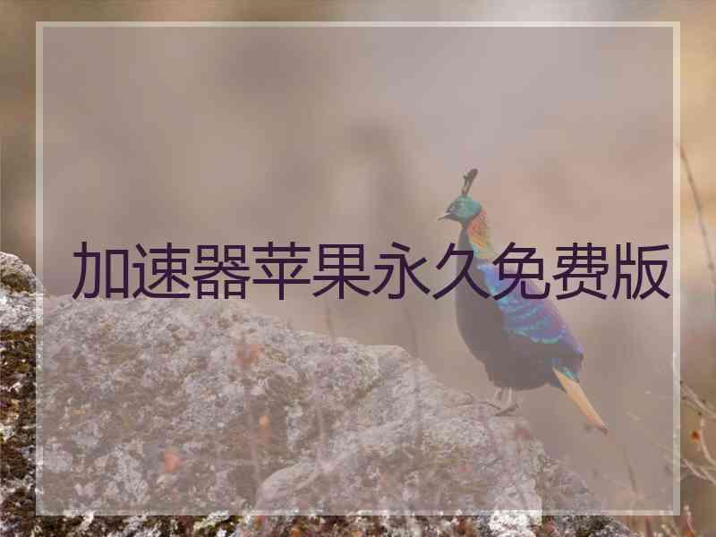 加速器苹果永久免费版