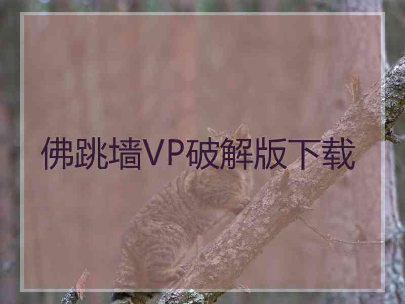 佛跳墙VP破解版下载