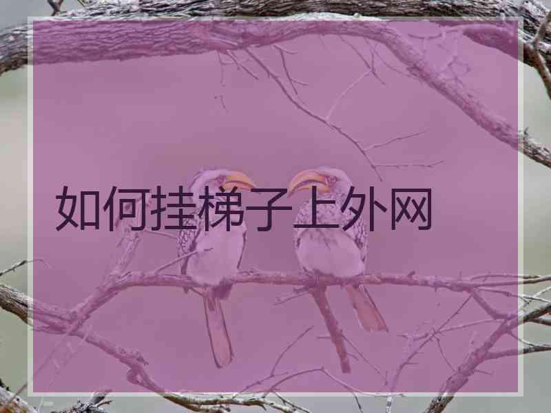 如何挂梯子上外网