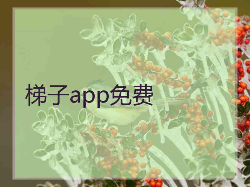 梯子app免费