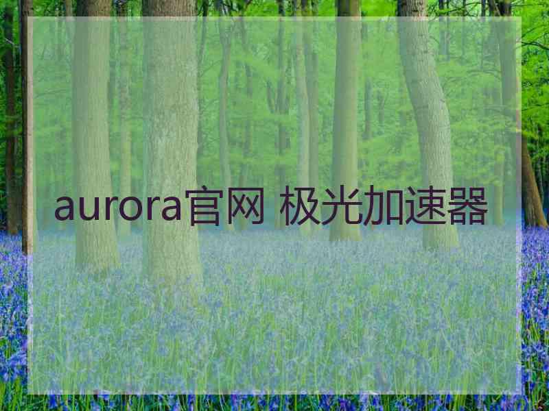 aurora官网 极光加速器