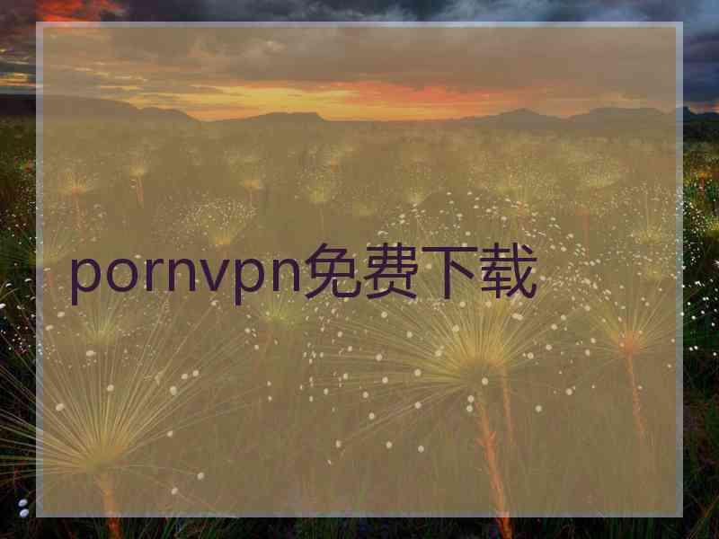 pornvpn免费下载