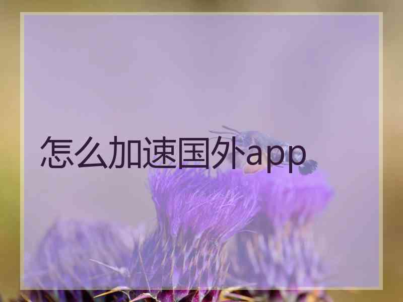 怎么加速国外app