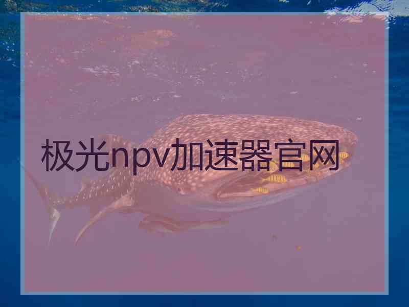 极光npv加速器官网