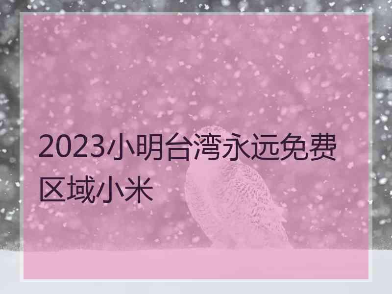 2023小明台湾永远免费区域小米