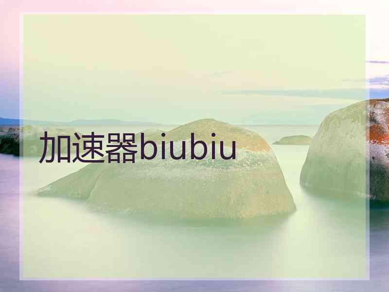 加速器biubiu