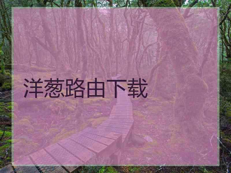 洋葱路由下载