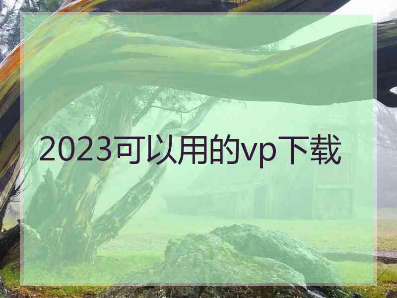 2023可以用的vp下载