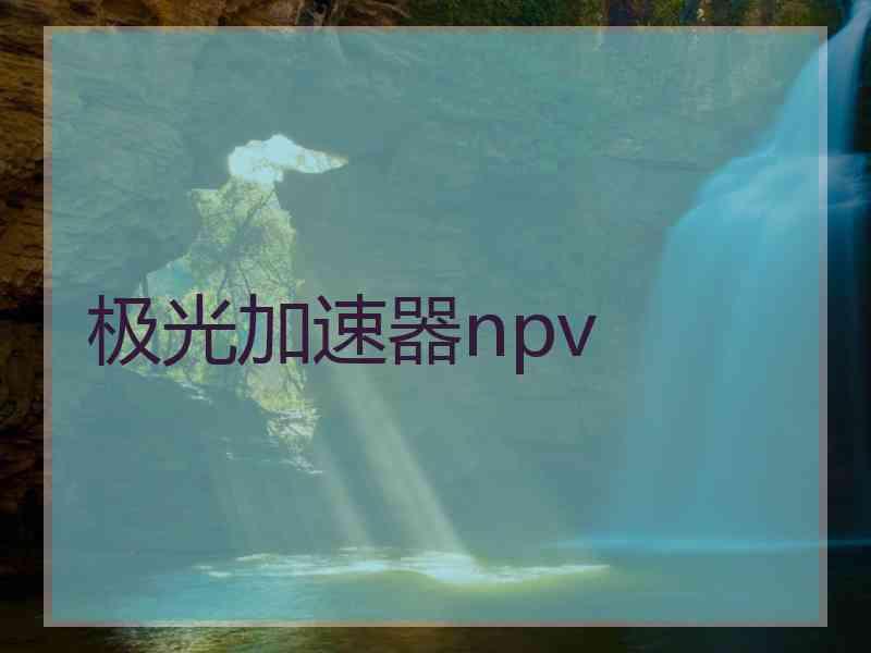 极光加速器npv