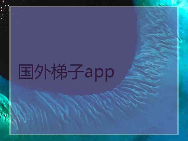 国外梯子app