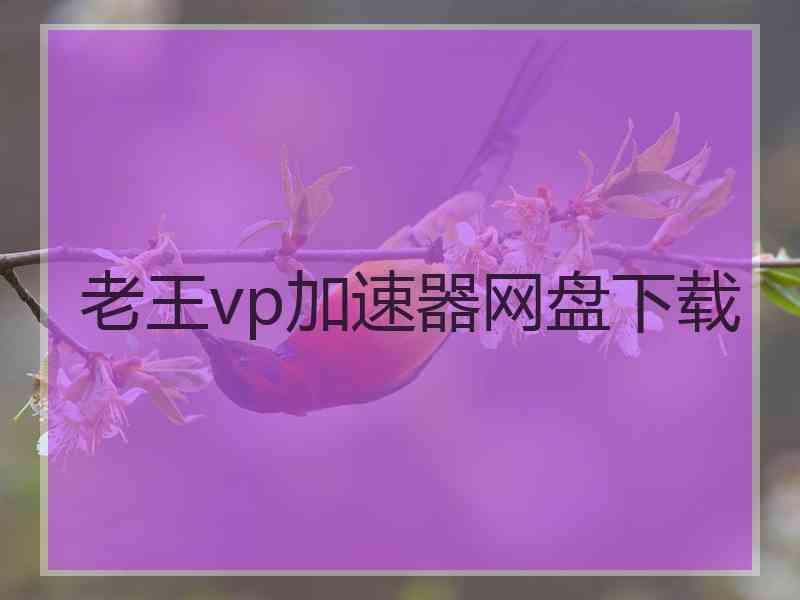 老王vp加速器网盘下载