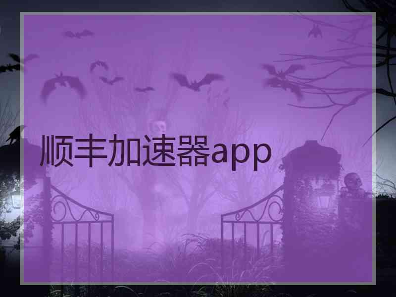 顺丰加速器app