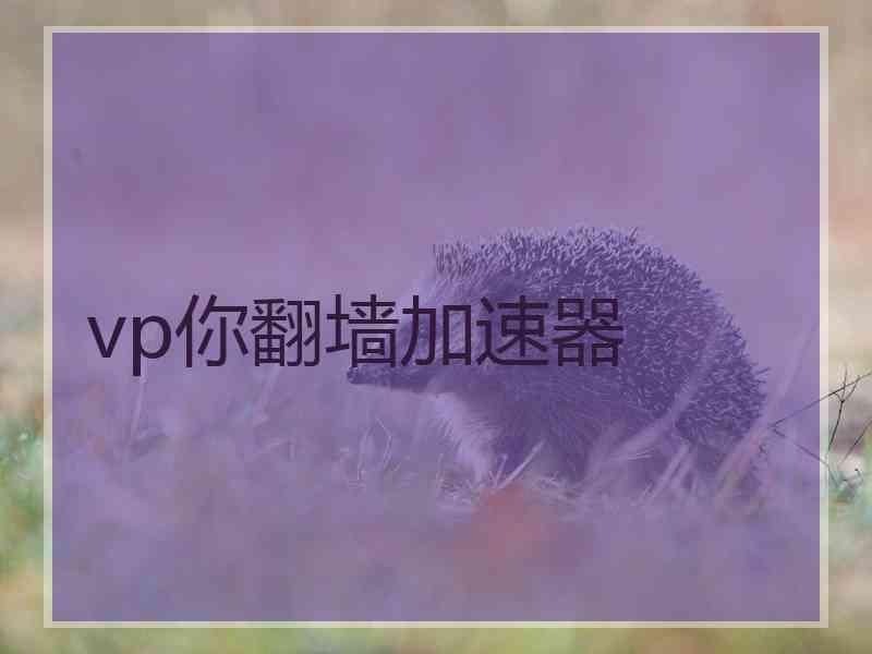 vp你翻墙加速器