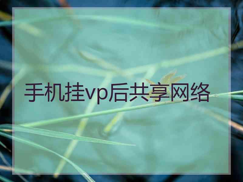 手机挂vp后共享网络