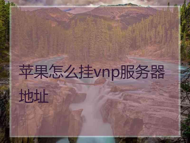 苹果怎么挂vnp服务器地址