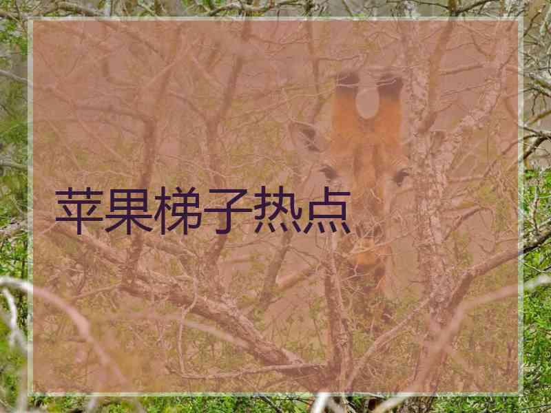 苹果梯子热点