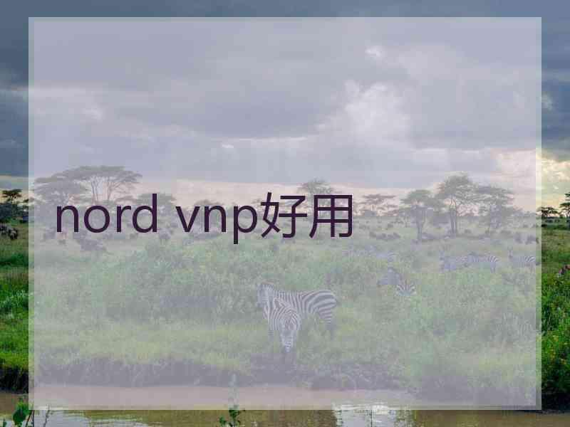 nord vnp好用