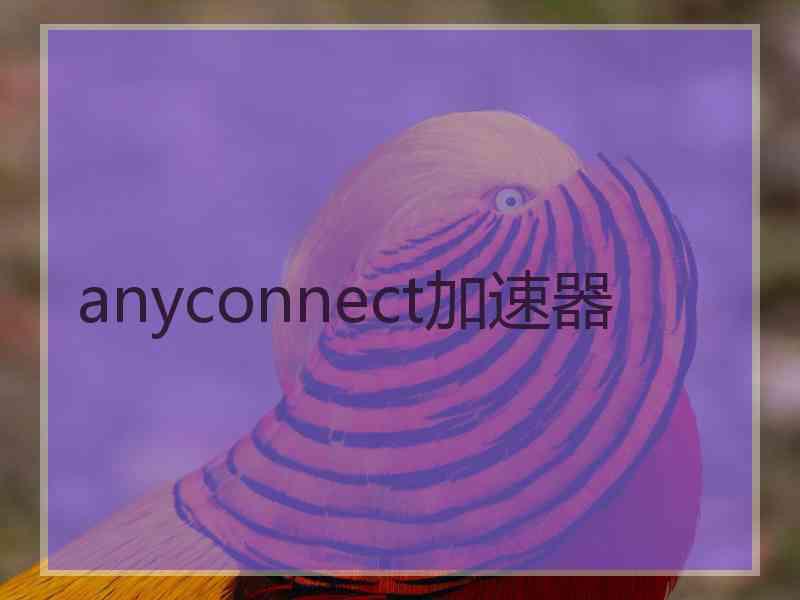 anyconnect加速器