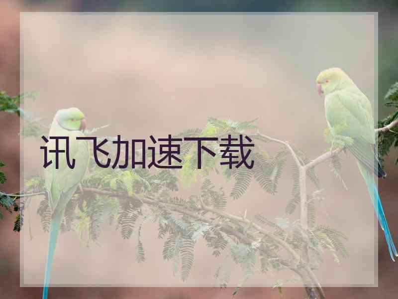 讯飞加速下载